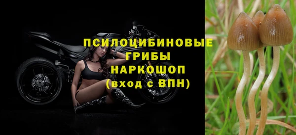 твердый Каменногорск