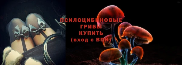 молекула духа Горно-Алтайск