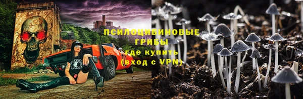 экстази Алексин