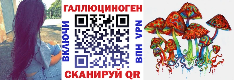 Псилоцибиновые грибы Psilocybine cubensis  купить   Кулебаки 